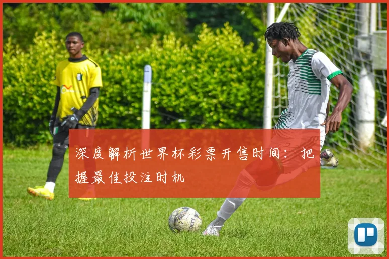 深度解析世界杯彩票开售时间：把握最佳投注时机