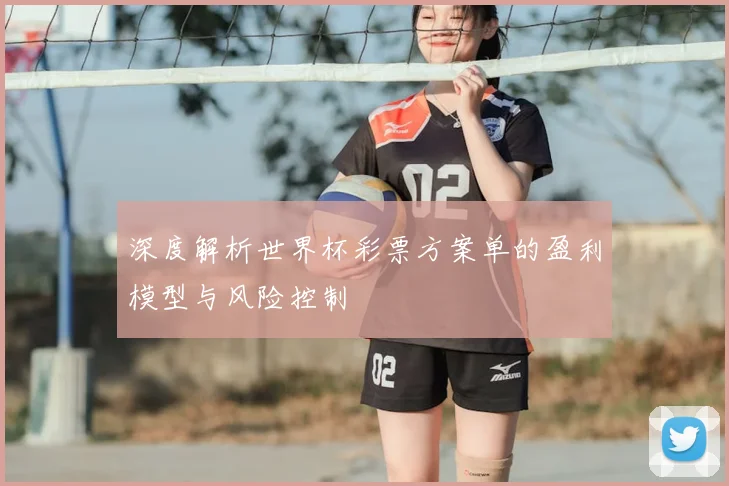 深度解析世界杯彩票方案单的盈利模型与风险控制