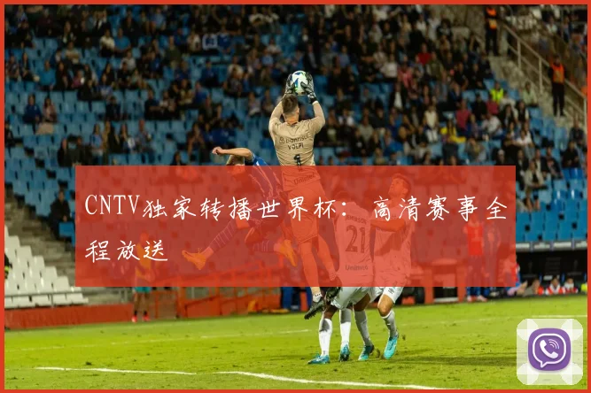 CNTV独家转播世界杯：高清赛事全程放送
