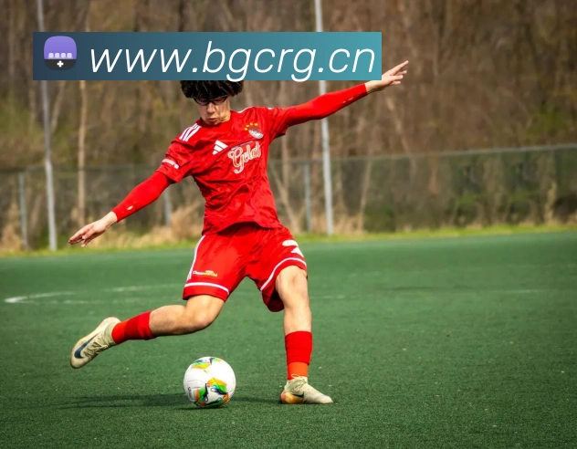 星空官方登录网站平台生态图